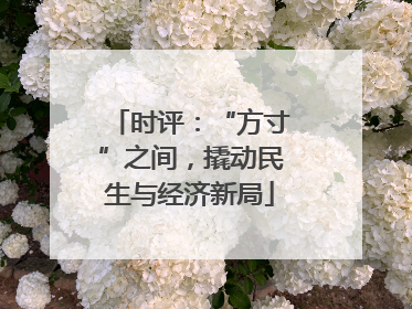 时评：“方寸”之间，撬动民生与经济新局